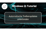 Automatische Treiber-Updates unter Windows 11 deaktivieren