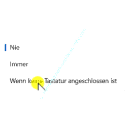 Bilschirmtastaturaktivierung Optionen Nie Immer Wenn keine Tastatur angeschlossen ist
