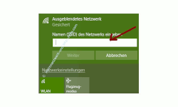 Probleme im Wlan-Netzwerk erkennen und beheben – Netzwerkname, SSID eingeben